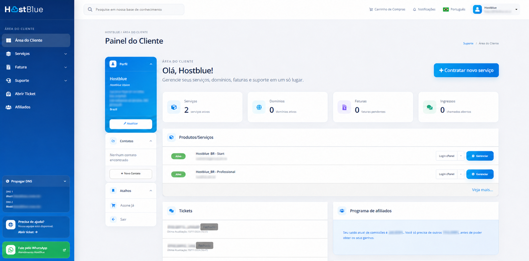 Painel do cliente HostBlue com dados sensíveis protegidos